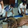 Warga Pasaman Cekcok dengan Petugas BKSDA gara-gara Bangkai Harimau