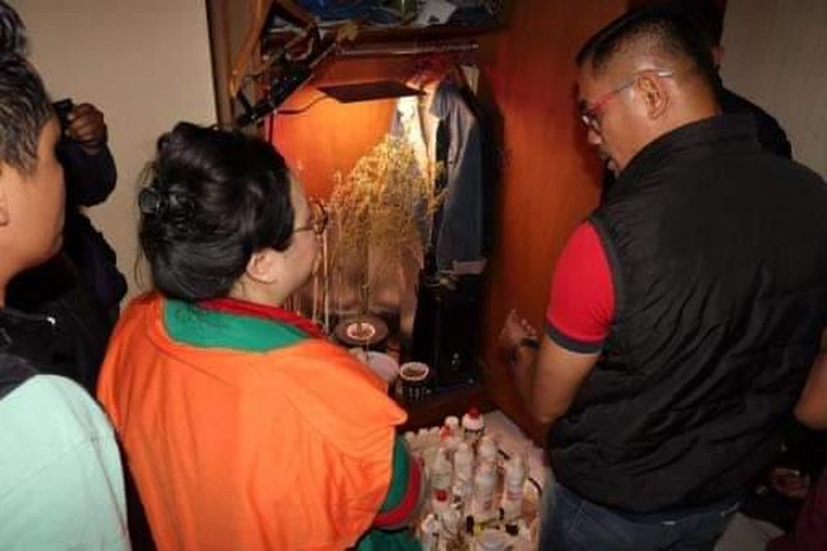 Satuan Reserse Narkoba Polres Metro Jakarta Barat berhasil mengungkap penemuan kasus ganja hidroponik, di Perumahan Kedoya Baru Residence Blok D4 RT/RW 14/04 Kedoya Utara, Kebon Jeruk, Jakarta Barat, Jumat (4/8/2023). 