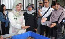 Kementerian KP Kembangkan Low Carbon Feed Ramah Lingkungan melalui Pemanfaatan Sampah Organik dan Maggot