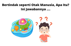 Bertindak seperti Otak Manusia, Apa Itu? Ini Jawabannya ....