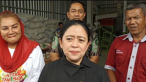 Ganjar Dilaporkan soal Voucer, Puan: Bawaslu Punya Mekanisme