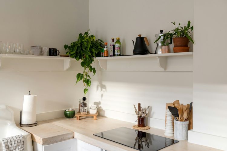 Ilustrasi tanaman hias di dapur. 