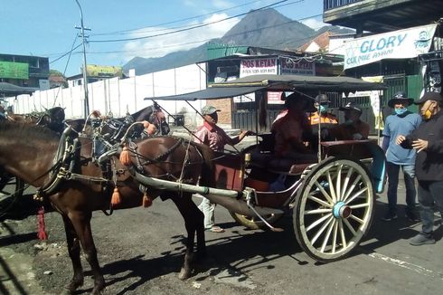 Keliling Kota Batu Gratis Naik Dokar, Cek Jadwal dan Rutenya