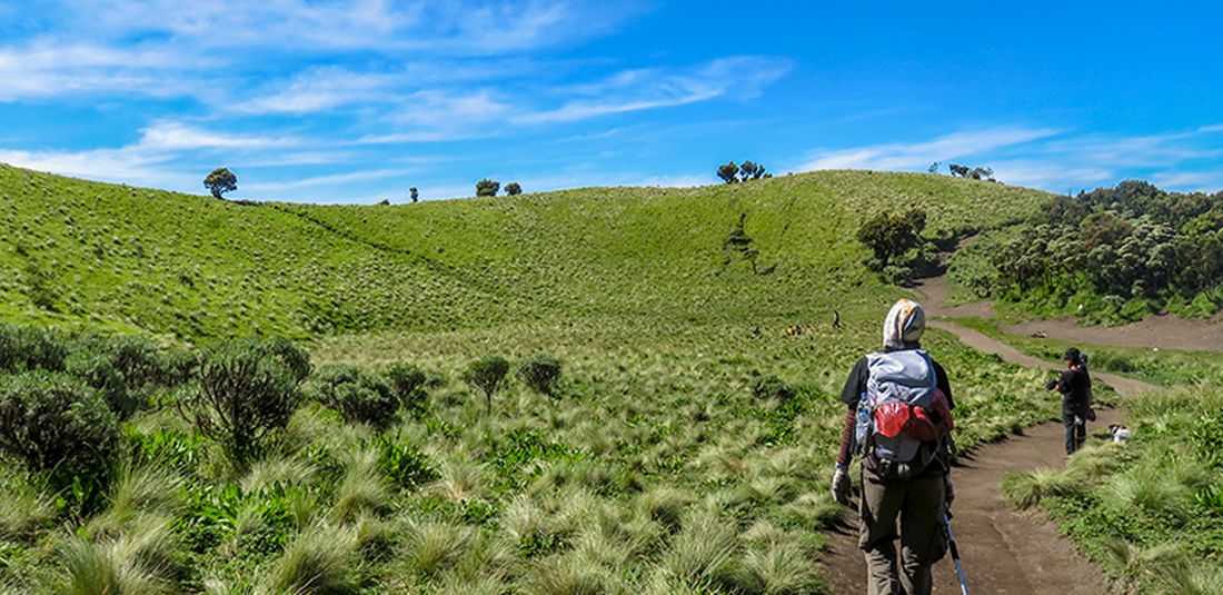 Sabana di Jalur Pendakian Gunung Merbabu via Selo.