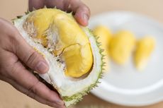 Musim Panen, Durian di Malaysia Dijual Rp 6.600 Per Biji