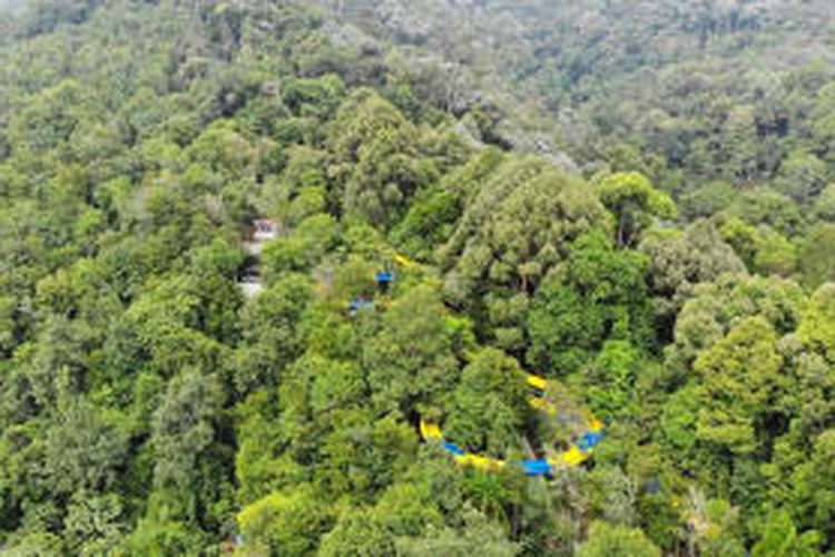  Papan Seluncur di ESCAPE Penang. 