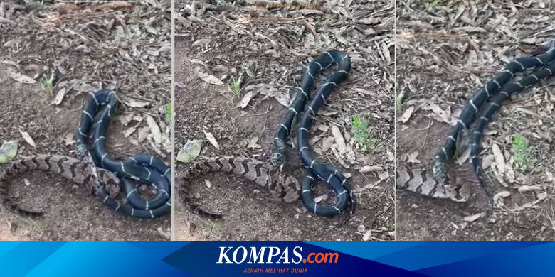 Tombul qizlar bilan rus uy qurilishi porno