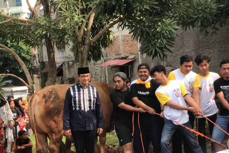 Anies Baswedan saat menyerahkan kurban sapi di Masjid Babul Khoirot, Lebak Bulus, Jakarta Selatan, Senin (17/6/2024). 