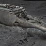 Seperti Apa Bangkai Kapal Titanic yang Tenggelam di Laut Atlantik?