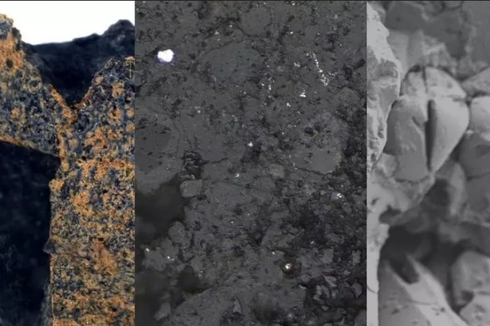 Meteorit Langka Berusia 4,6 Miliar Tahun Ditemukan di Bekas Jejak Kuda