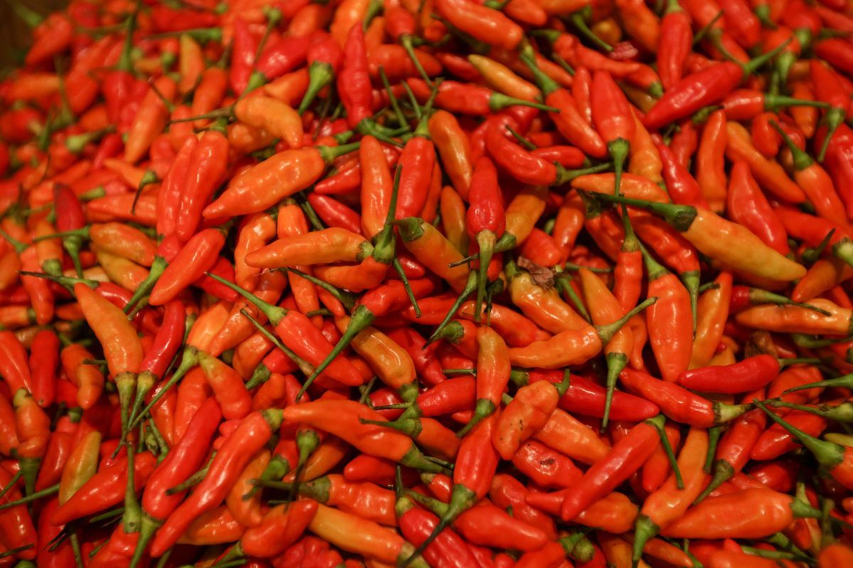 Usai Lebaran, Harga Cabai Rawit Merah di Jateng Tembus Rp 70.000 per Kg
