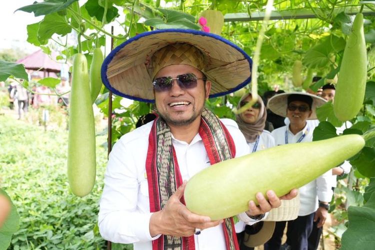 Gubernur Kalimantan Timur Rudy Mas'ud memanen hasil pertanian lokal saat membuka Pekan Daerah XI KTNA di Taman Budaya Sendawar, Kutai Barat, Sabtu (21/6/2025). Pada kesempatan itu, ia menargetkan swasembada pangan Kaltim dalam enam bulan ke depan.