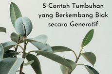 5 Contoh Tumbuhan yang Berkembang Biak secara Generatif