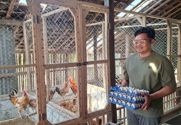 Kandang Ayam Tak Bau Meski Dekat Rumah? Ini Rahasianya