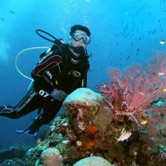 Pemandangan bawah laut di Raja Ampat selalu menarik untuk dikunjungi.