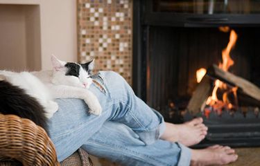 Alasan mengapa kucing suka tidur di pangkuan pemiliknya.