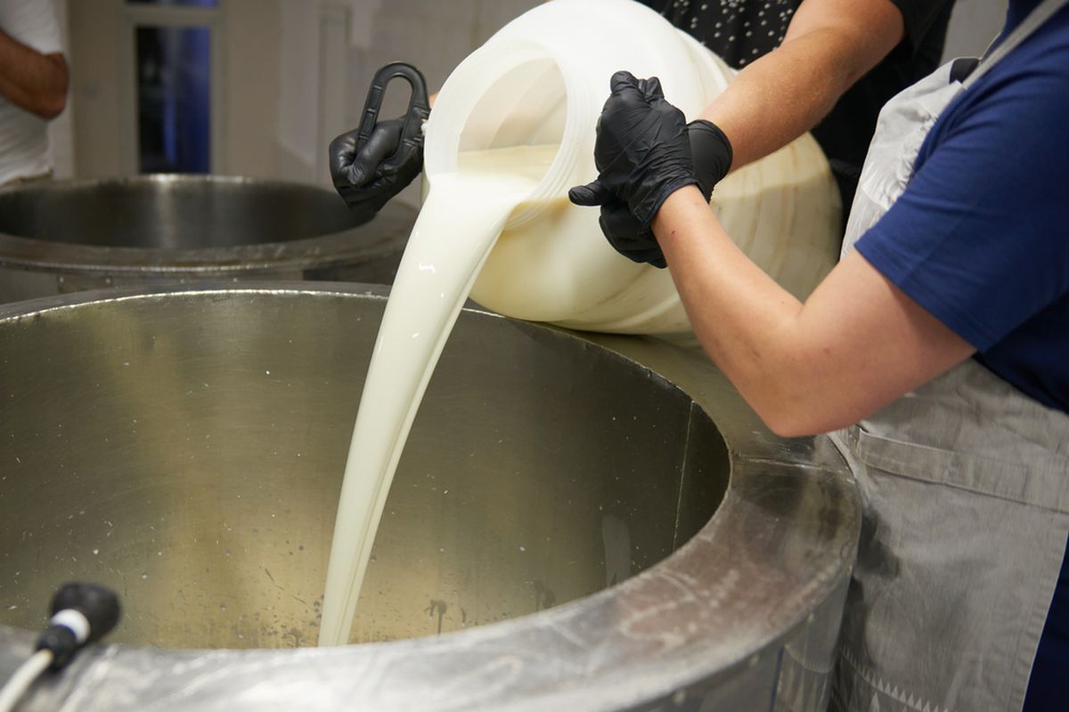 Susu yang sedang di proses dengan teknk pasteurisasi