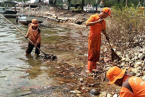 Kementerian LHK Imbau Warga Pulau Pari Bangun Bank Sampah