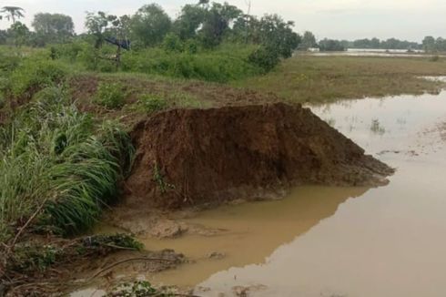 Hujan Deras Jebol Tanggul di Lamongan, Akses Jalan Desa Sempat Terputus