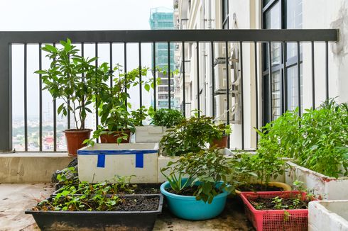 4 Cara Membuat Taman di Apartemen Studio 
