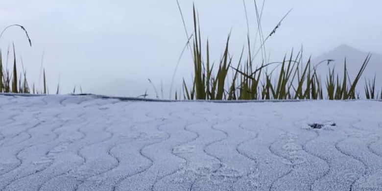 Fenomena frost atau embun yang membeku di kawasan Balai Besar Taman Nasional Bromo Tengger Semeru (TNBTS).