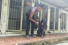 Ketika Anjing Pelacak Mengambek Saat Pawangnya Galau