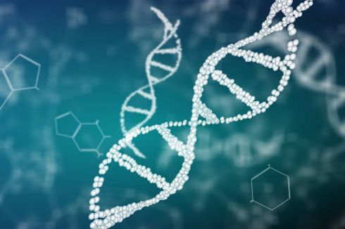 4 Faktor yang Dapat Menyebabkan Mutasi Genetik pada Manusia