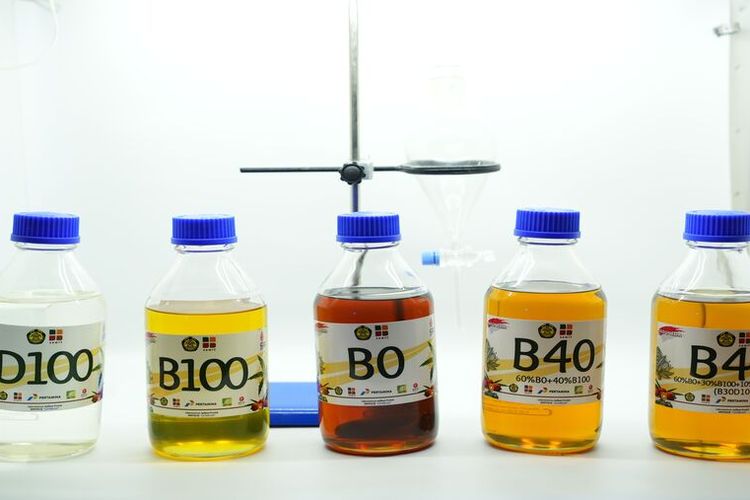 Minyak kelapa sawit dinilai menjadi yang paling berpotensi untuk diolah menjadi energi dibandingkan dengan minyak nabati lain karena memiliki manfaat yang begitu luas.