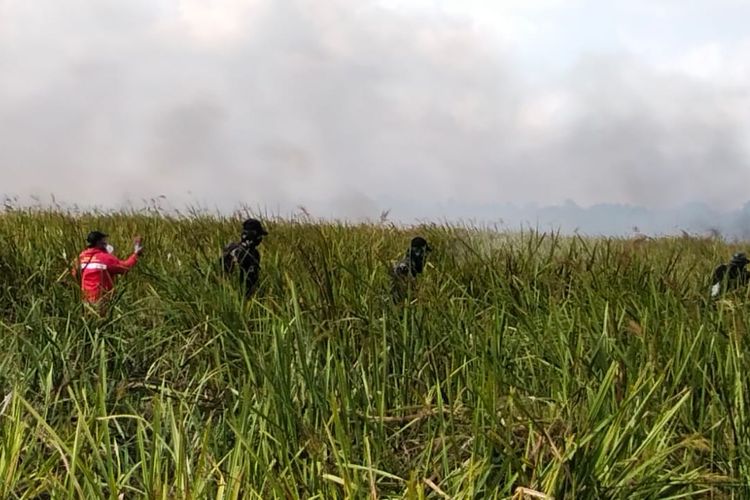 TNI Kerahkan Drone Padamkan Kebakaran Way Kambas, Hampir Semua Titik Api Sedang Dipadamkan