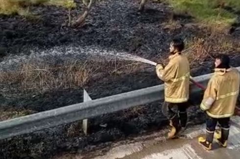 Lahan Ilalang di Samping Tol Pejagan-Pemalang Kembali Terbakar, Jaraknya Tak Jauh dari Lokasi Kecelakaan Beruntun