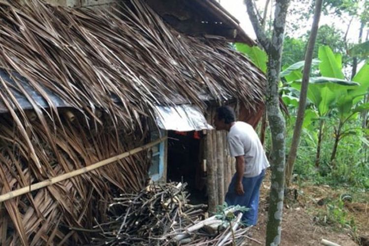 Kondisi gubuk yang ditempati keluarga Dasirin bersama keluarga yang terletak di tengah hutan Bukit Mangger, Desa Sengare, Kecamatan Talun, Kabupaten Pekalongan, Sabtu (1/9/2018). 