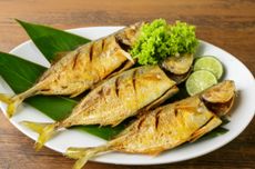 Apa Saja Penyakit yang Bisa Diredakan dengan Makan Ikan Kembung?