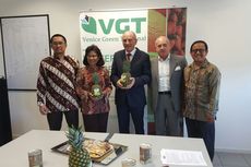 Perdana, 18 Ton Nanas Segar Indonesia Masuk ke Italia 