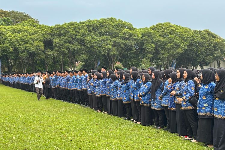 Daftar Gaji dan Tunjangan PPPK Paruh Waktu, Ternyata Tidak Cuma Gapok dan THR