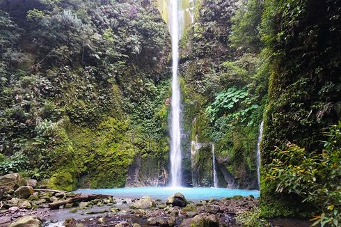 5 Aktivitas Seru di TWA Sibolangit, Lihat Rangkong dan Trenggiling