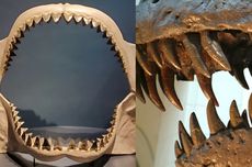 Buruh Akan Demo di Istana Negara Hari Ini, Tuntut Revisi UMSK Jawa Barat