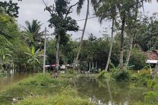 Banjir di Kulon Progo, Puluhan Rumah Terendam, 20 Hektar Tanaman Palawija Terancam Rusak