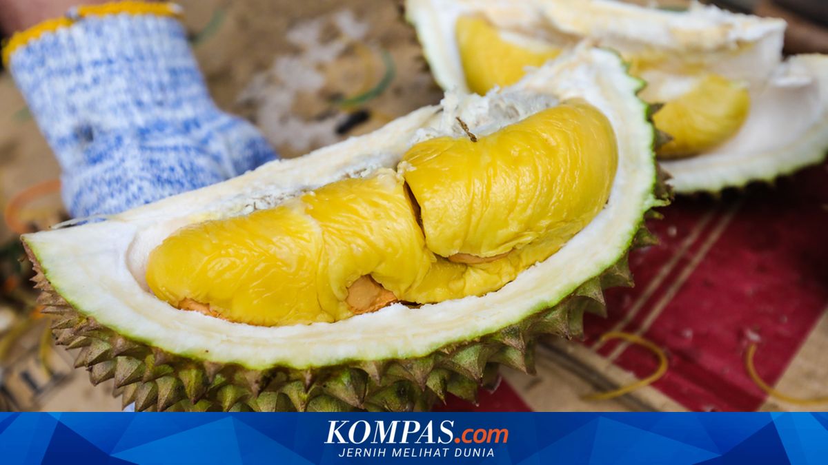 Harga Durian Malaysia dan Singapura Anjlok, Musang King Rp 27.000-an per Kg