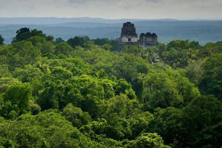 Suku Maya mengandalkan curah hujan musiman untuk persediaan air mereka, yang mereka kumpulkan di waduk.