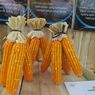 Realisasikan Ketahanan Pangan, Bayer Luncurkan Jagung Bioteknologi