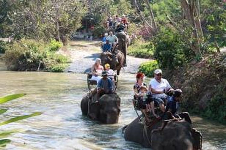 Naik gajah di Pattaya, Thailand.