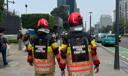 Aktivis Desak Jepang dan Korsel Setop Impor Pelet Kayu dari RI karena Picu Deforestasi