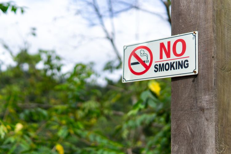 Ilustrasi tanda dilarang merokok dipasang di taman. 