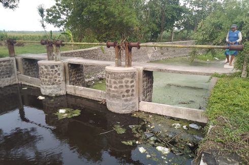 Pencemaran di Sungai Avur, Jombang, Diduga dari Pabrik Kertas