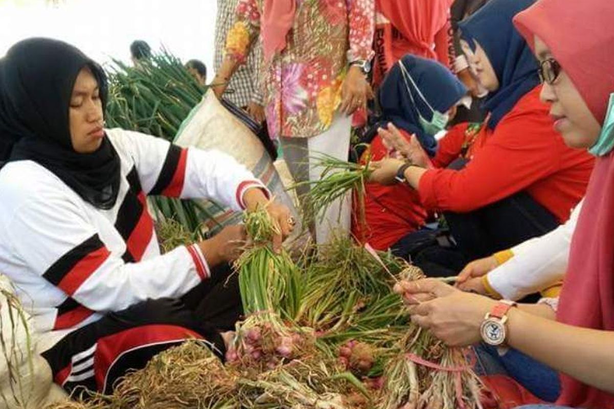 Ajang Festival bawang nusantara dan aneka produk holtikultura Indonesia seperti cabe, tomat, kentang, wortel dan buah lainnya berlangsung meriah di lapangan Haji Andi Liu, Cakke Kecamatan Anggeraja, Kabupaten Enrekang Sulawesi selatan, Sabtu (14/10). Puluhan peserta dari berbagai propinsi terutama penghasil bawang nusantara ikut dalam festival tahunan ini. 