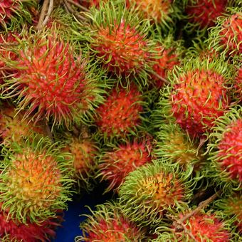 Ilustrasi buah rambutan. 