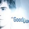Sinopsis The Good Doctor, Serial Drama Amerika Adaptasi Drakor