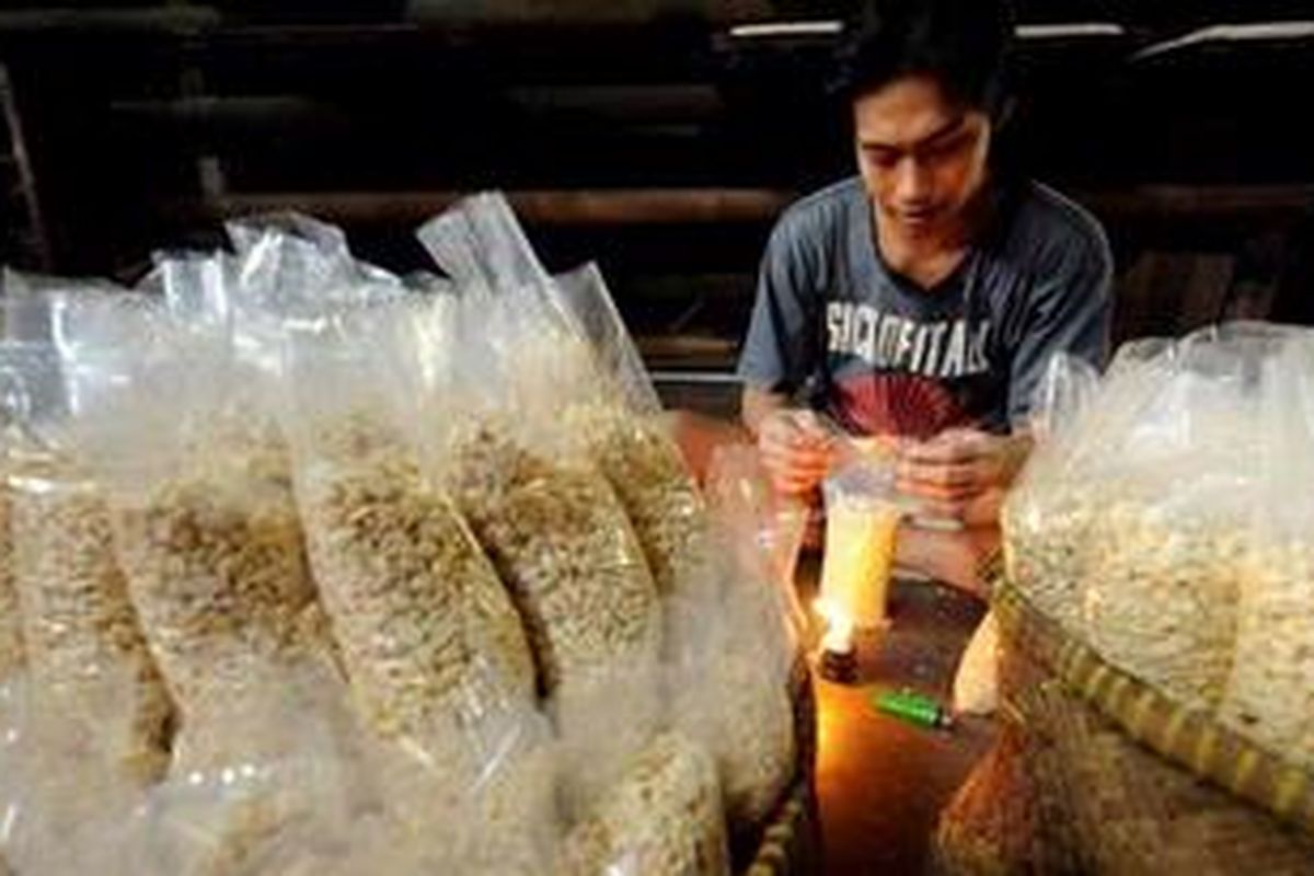 Ilustrasi: Abdulah (27) mengemas kedelai yang telah ditaburi ragi dalam proses pembuatan tempe di Kelurahan Kebayoran Lama Utara, Kebayoran Lama, Jakarta Selatan, Selasa (26/6/2012). 