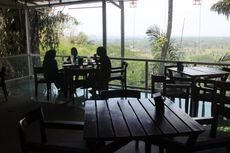 Kafe Tebing Jember, Sensasi Minum Kopi di Ketinggian 40 Meter