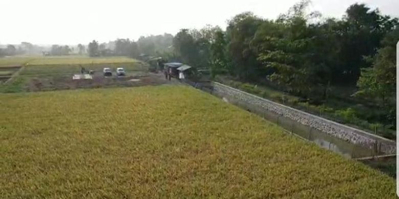 Embung peternakan, di lokasi Kelompok Ternak Sri Sumber Tirta I, Desa Cangkingan, Kecamatan Kedokanbunder, Jumat (31/7/2020).